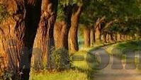 竞彩足球360足球比分-深度揭秘，竞彩足球与360足球比分——球迷的智慧投资指南